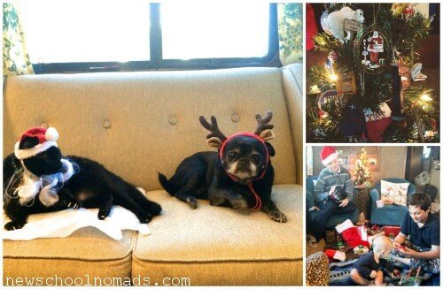 PicMonkey Collage Pets Christmas CA 2014