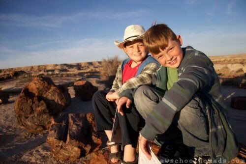 Brothers at Petrified National Forest